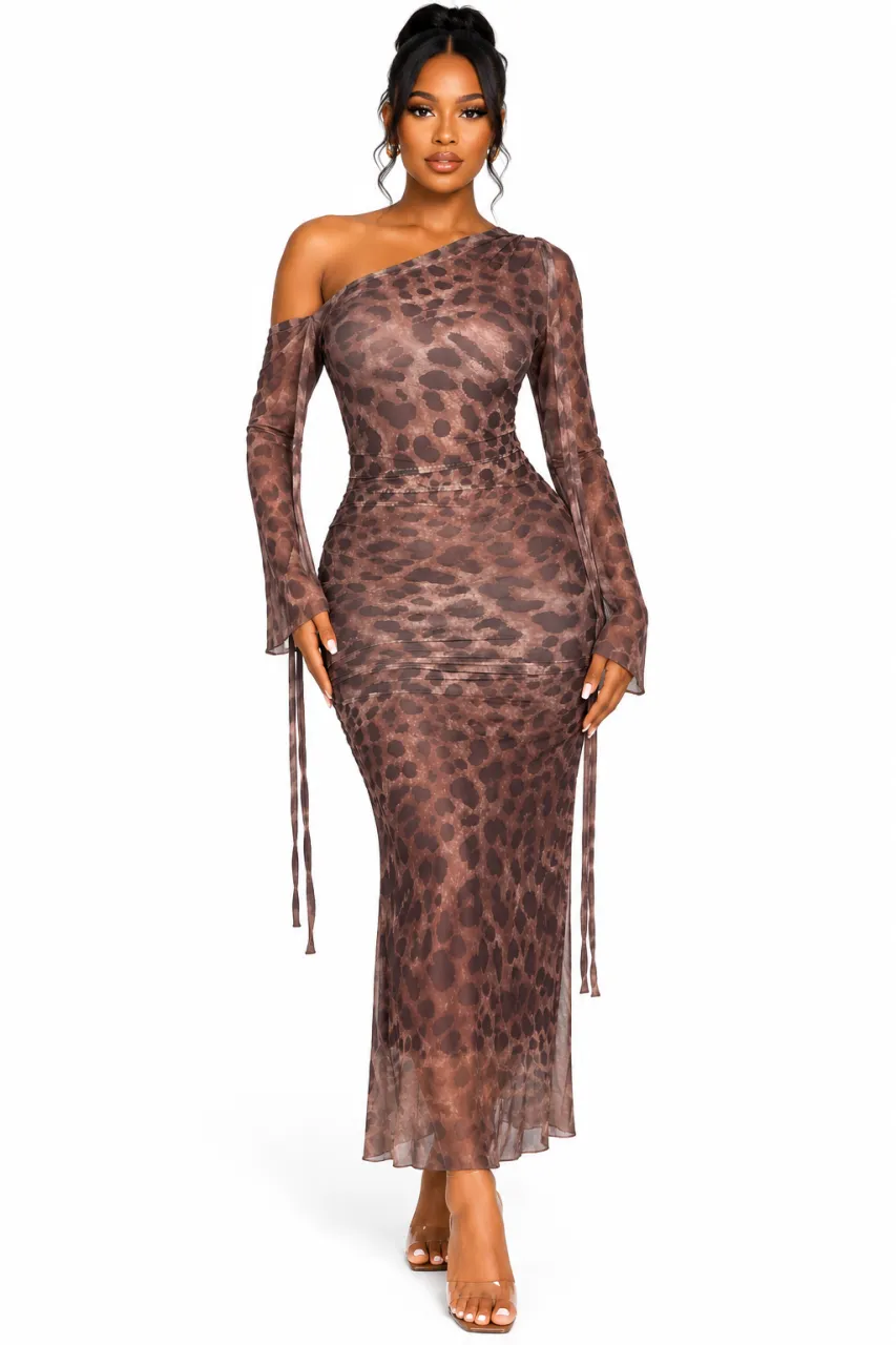 Leopard Print One-Shoulder Mesh Maxi Dress — image 1